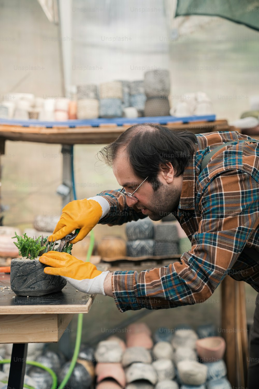 a man in a greenhouse tending to a plant