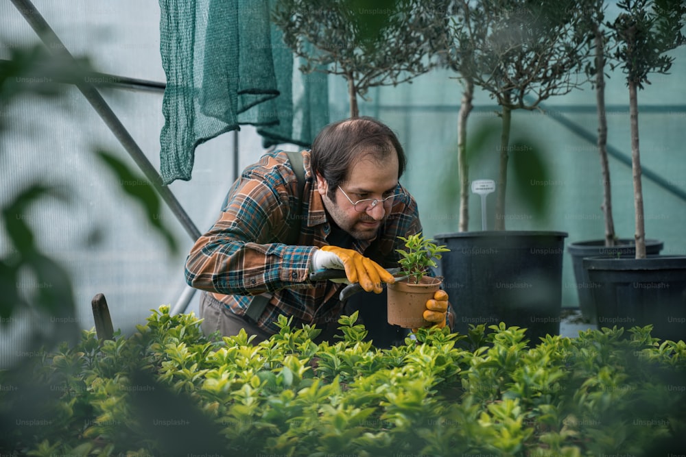 温室で鉢植えの植物を持つ男性