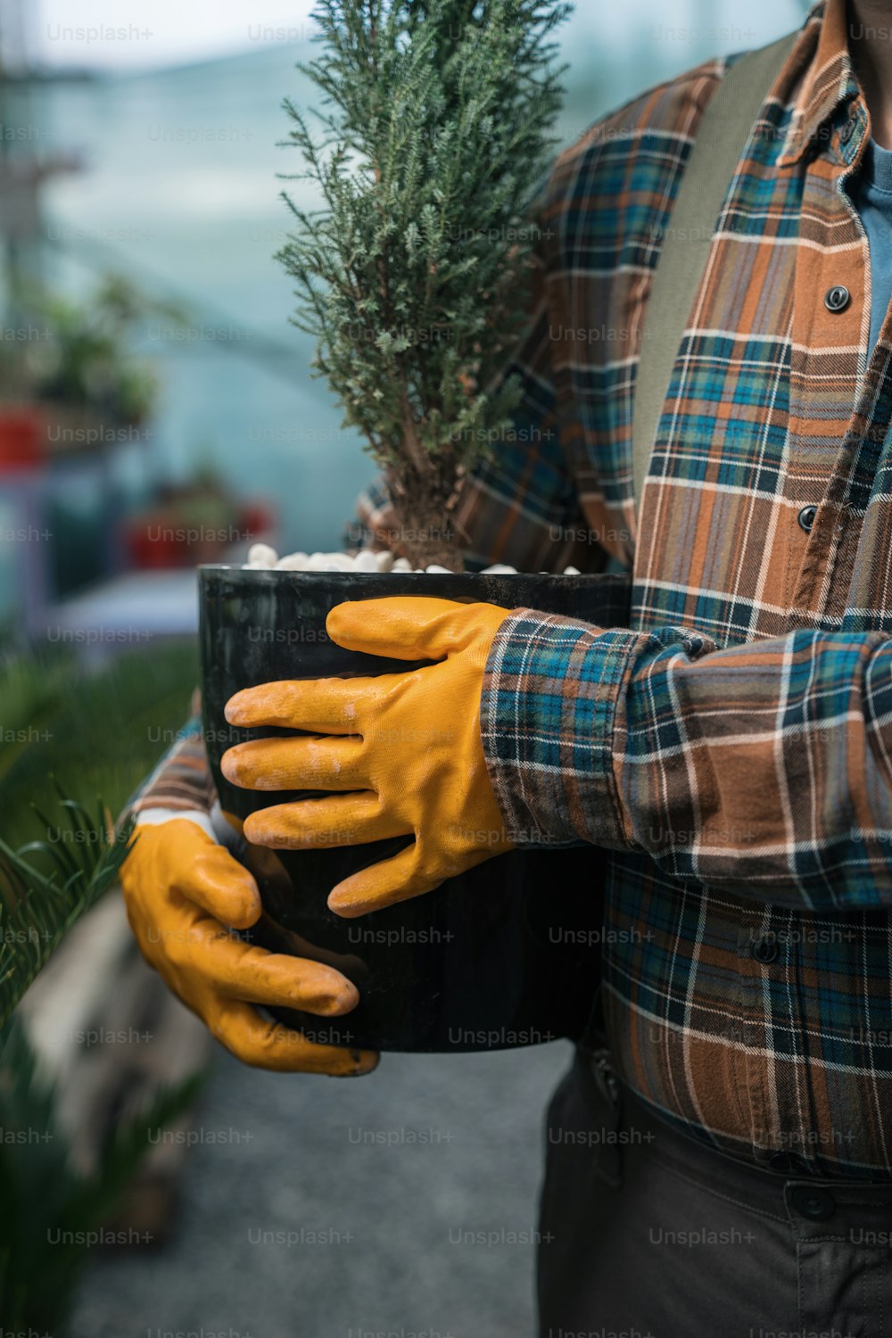 um homem segurando um vaso de planta em suas mãos