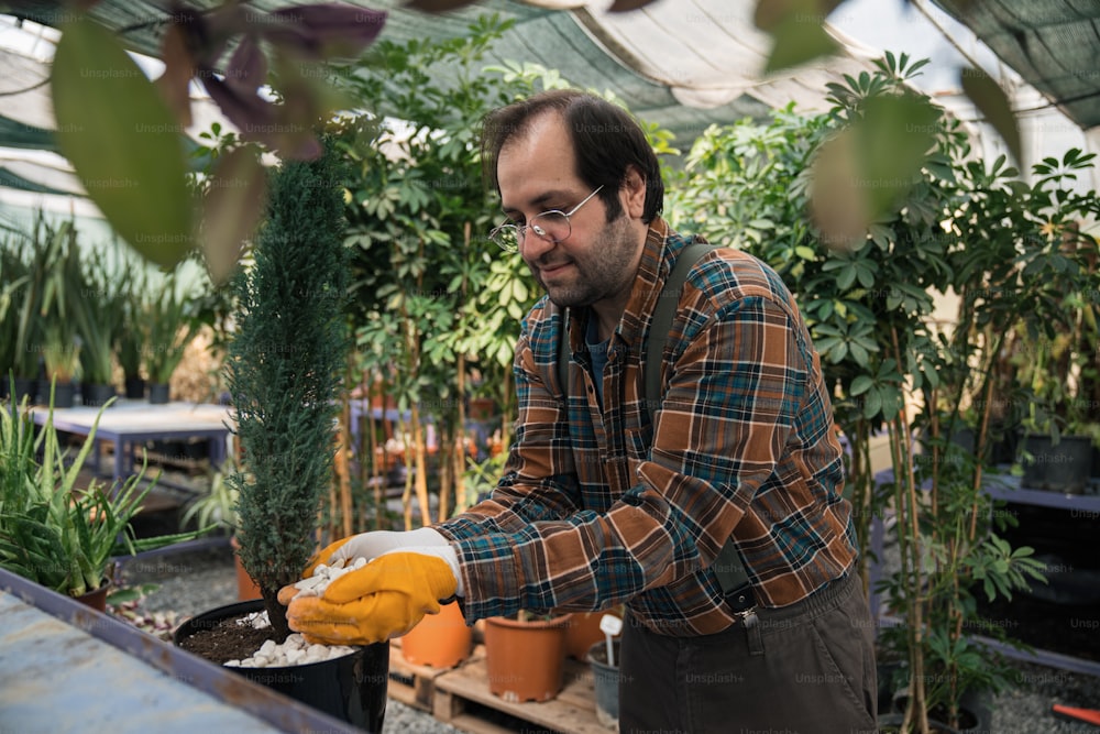 Un hombre en un invernadero sosteniendo una planta en maceta