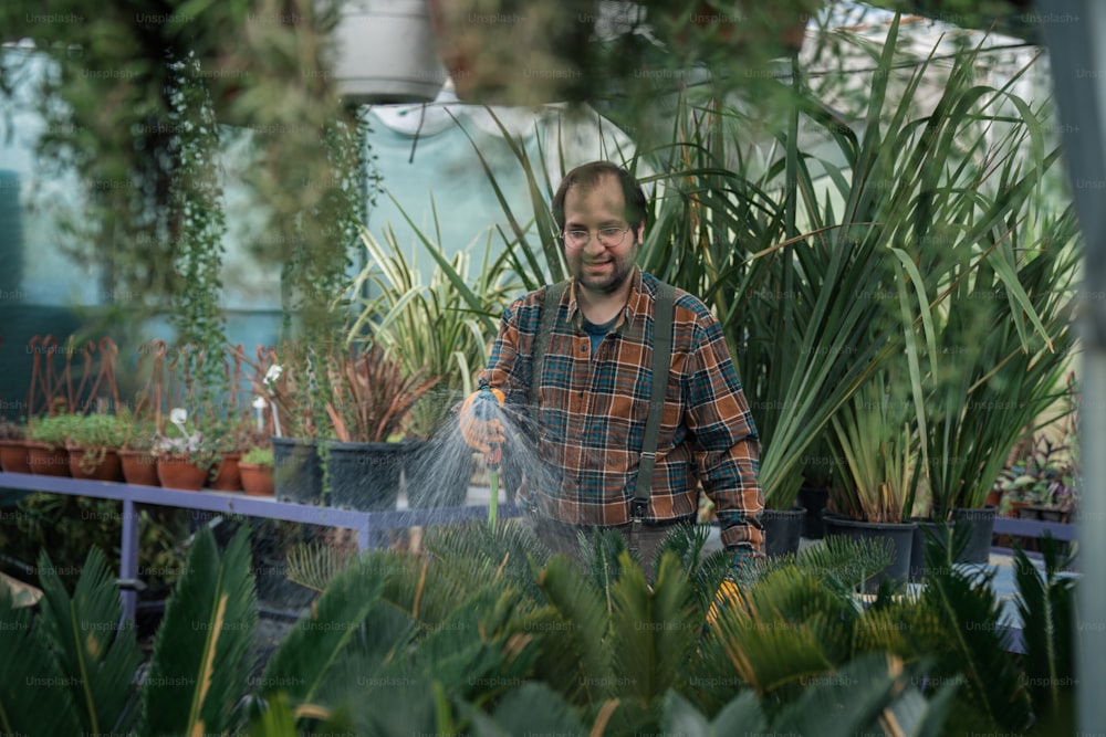 男が温室の植物に水をやっている