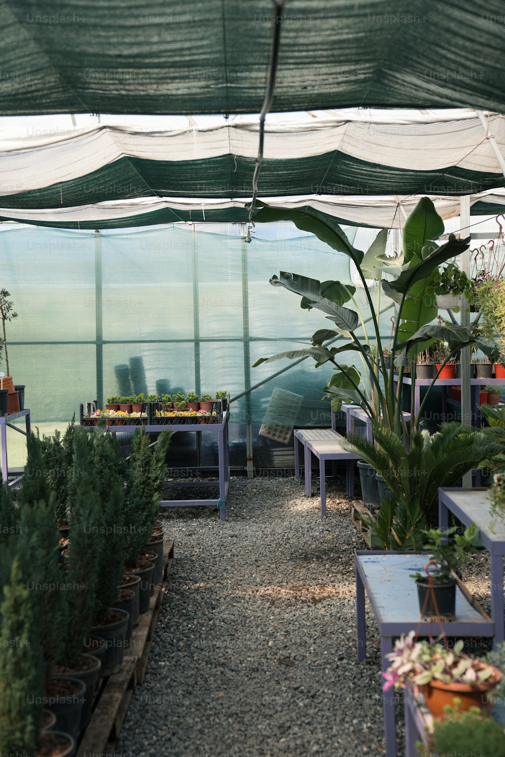 Una habitación llena de muchas plantas en macetas