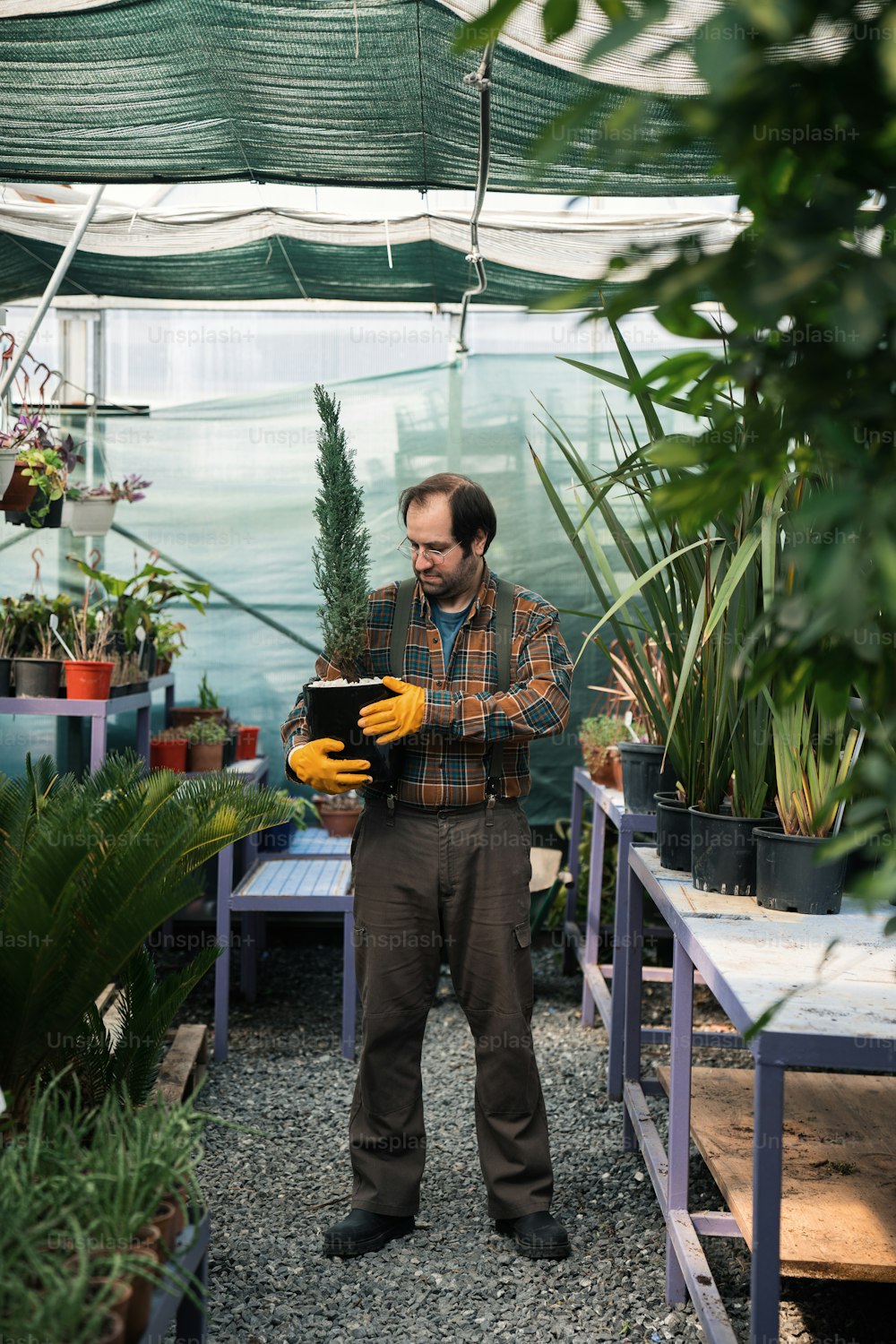 a man holding a yellow glove in a greenhouse