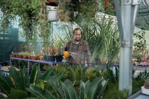 a man is working in a garden center