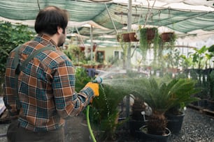 温室で植物に水をやる男