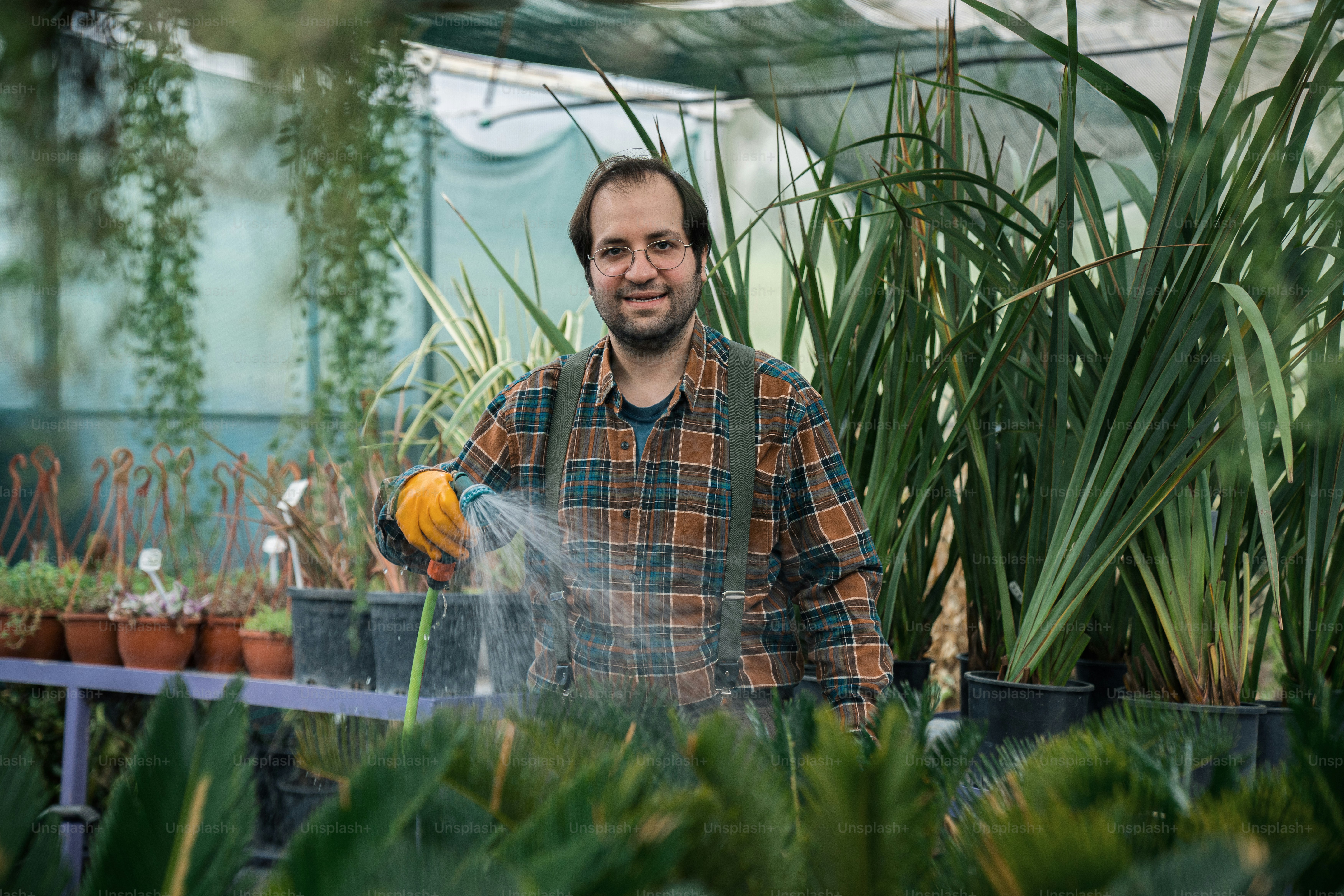 Un homme arrose des plantes dans une serre photo Image de Jardinage — free download