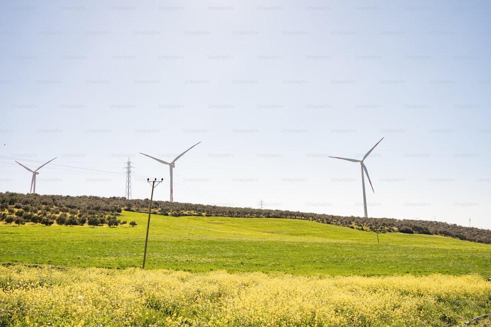 a grassy field with wind turbines in the background