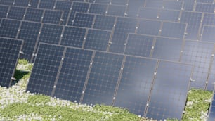a large array of solar panels in a field