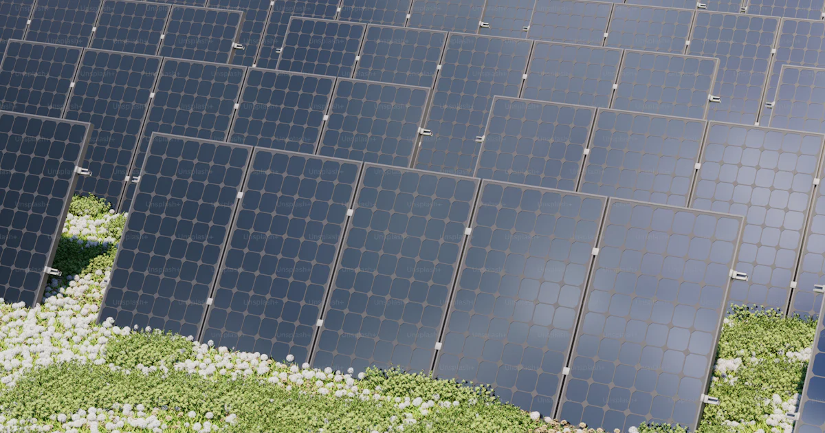 A large array of solar panels in a field photo – New energy Image on ...