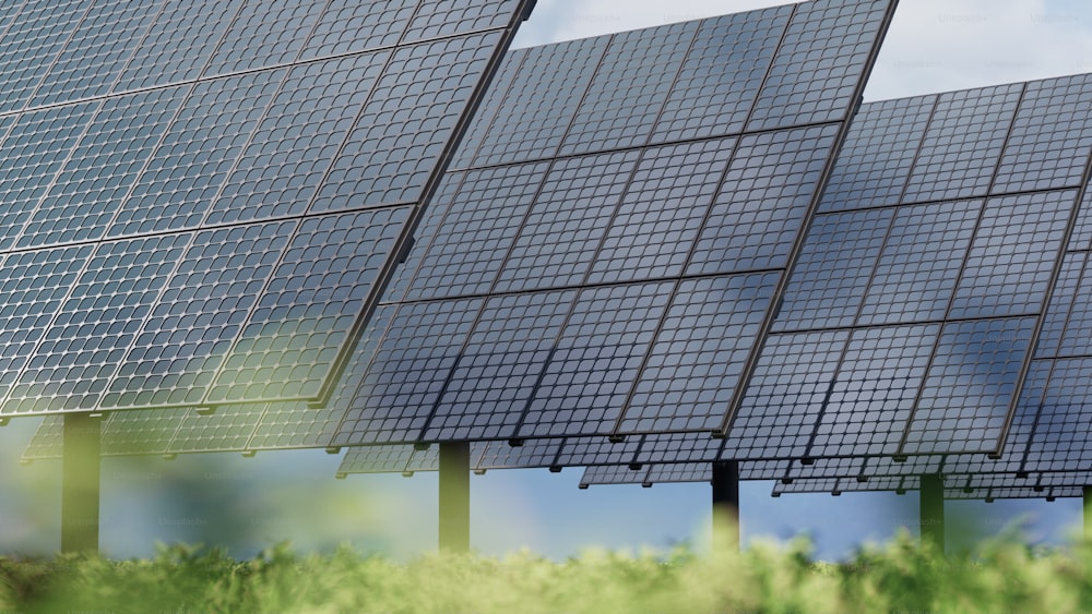 Una hilera de paneles solares sentados en la parte superior de un exuberante campo verde