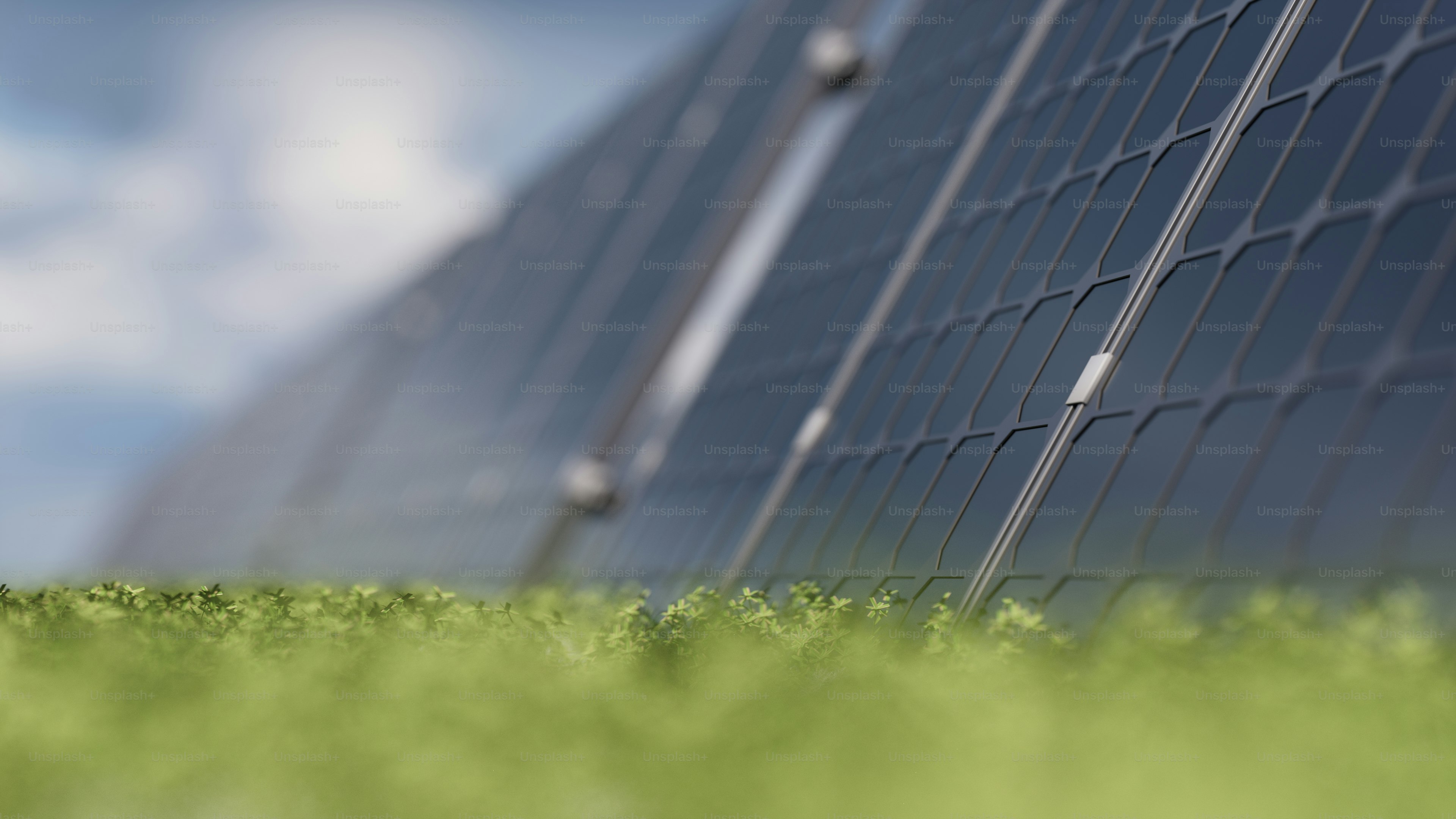 a close up of a grass field with a building in the background