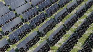rows of solar panels in a field of grass