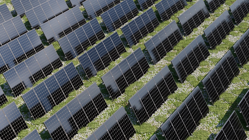 file di pannelli solari in un campo di erba