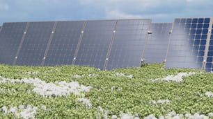 a row of solar panels on top of a green field