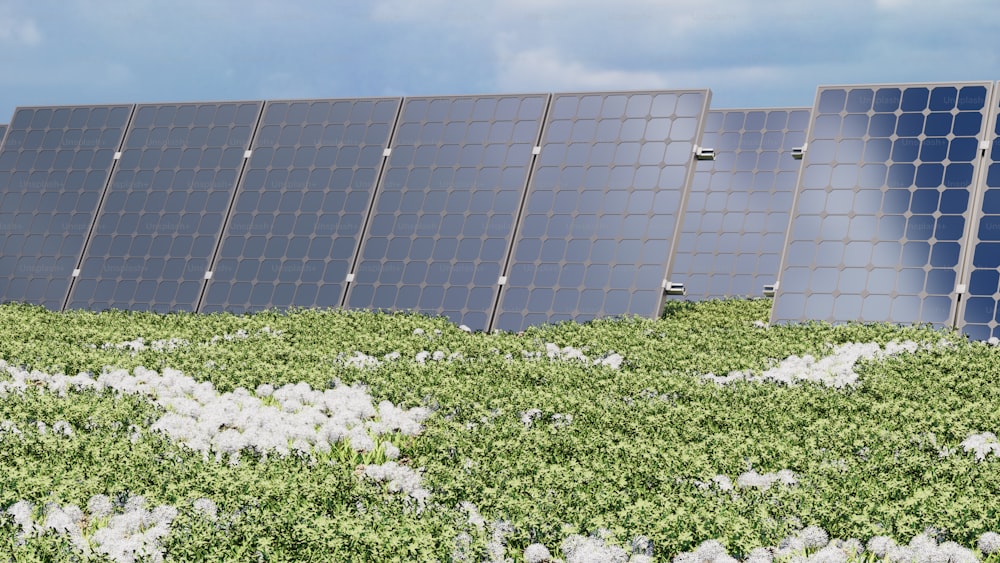 a row of solar panels on top of a green field
