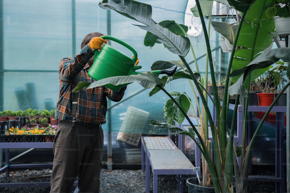 a man is watering plants in a greenhouse