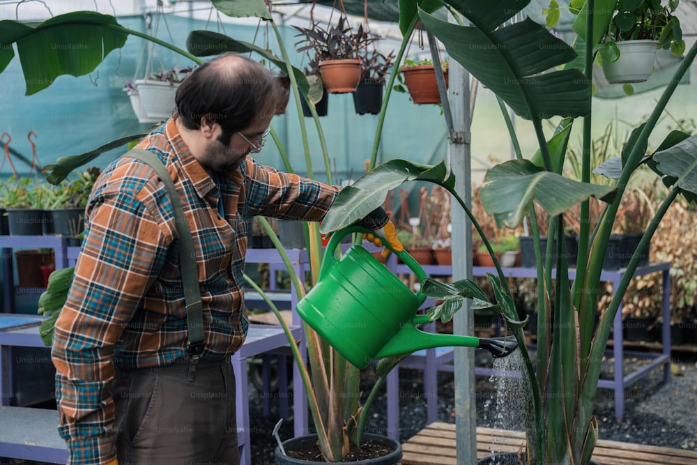 a man watering a potted plant in a greenhouse
