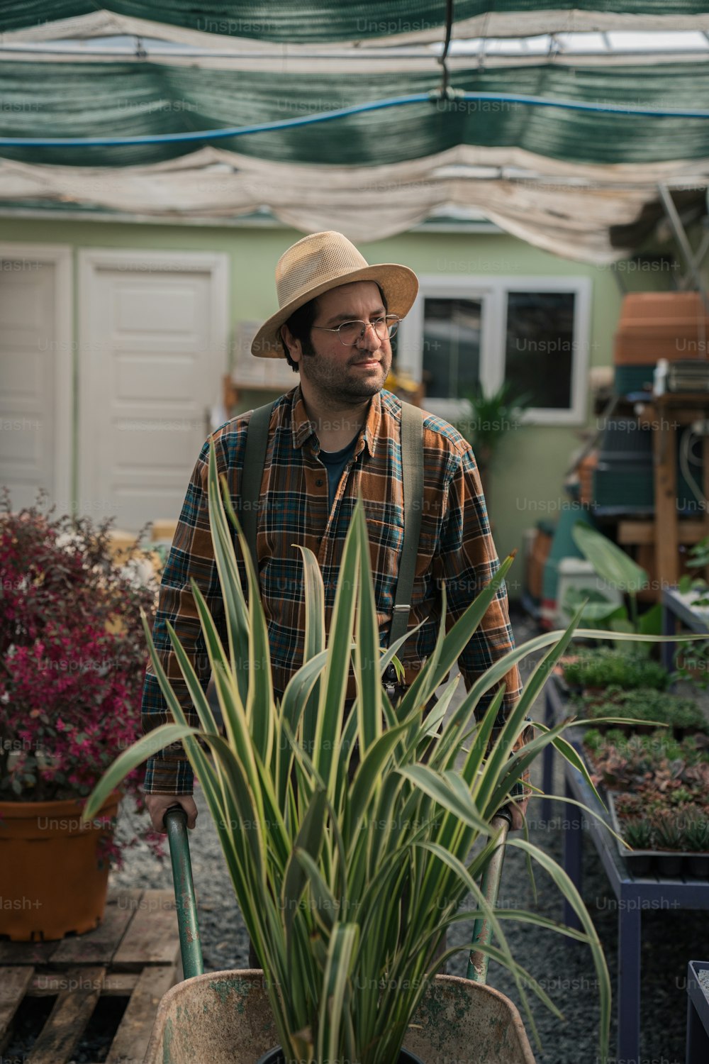 Un hombre con un sombrero de paja sostiene una planta