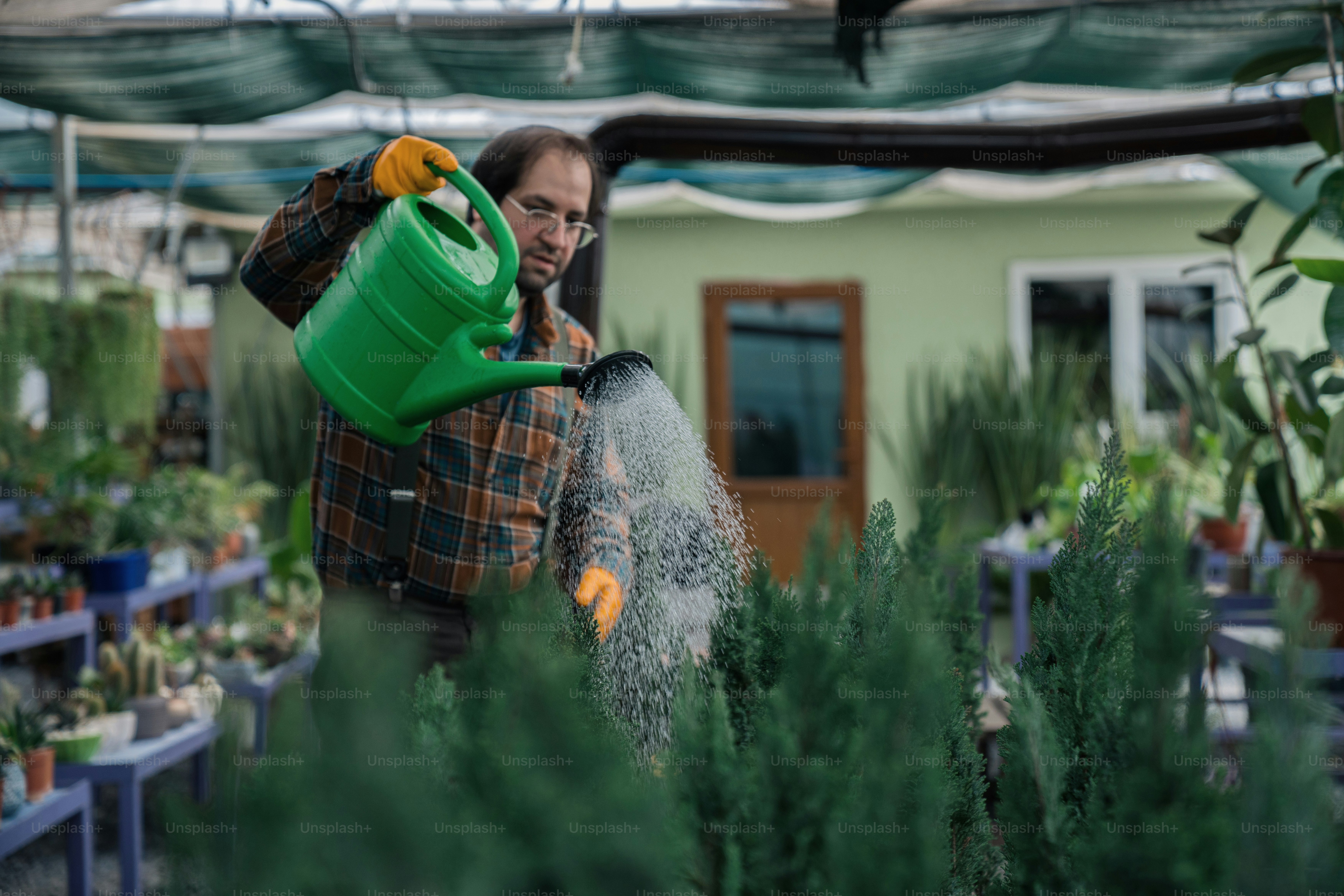 a man watering plants with a green watering can