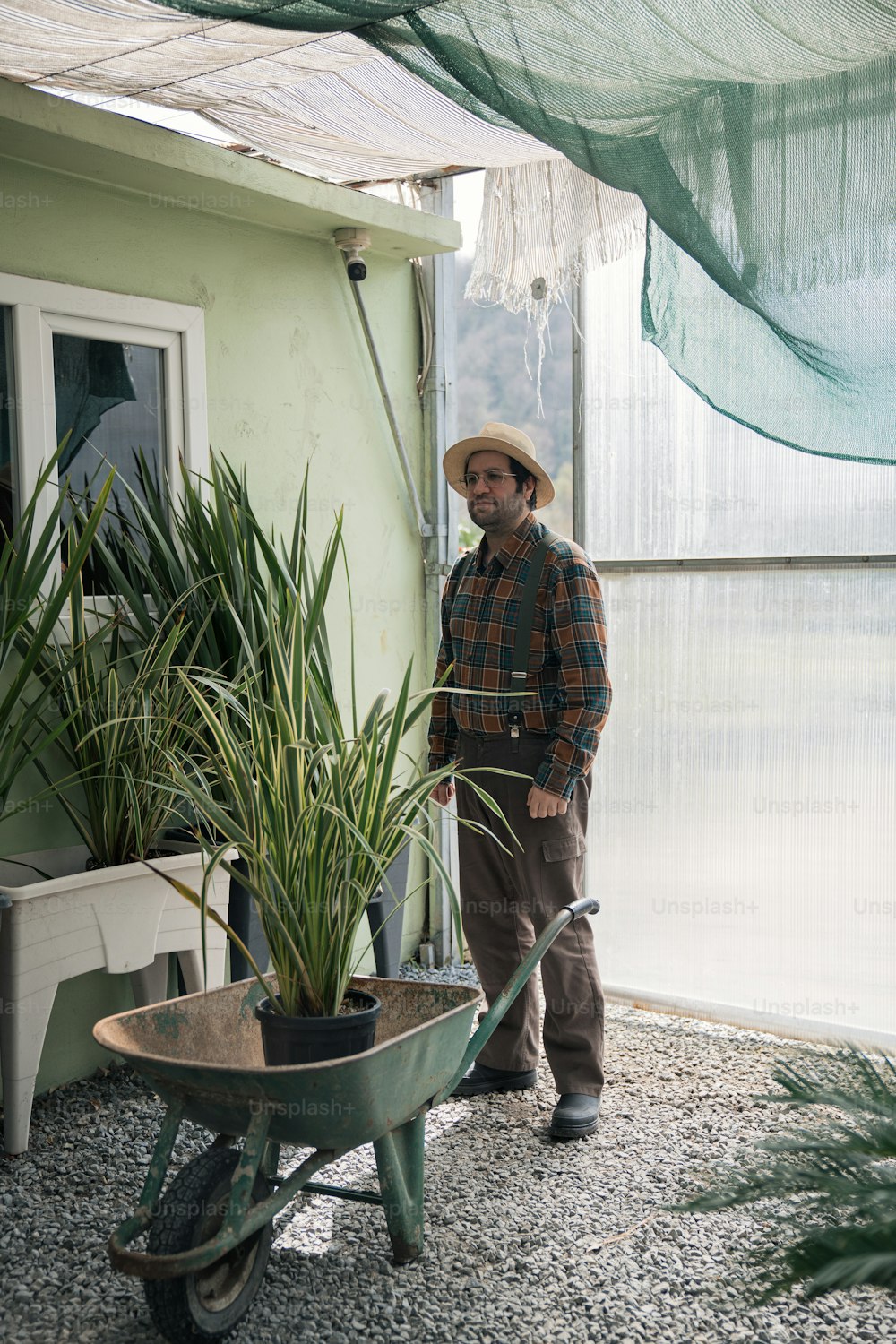 a man standing next to a wheelbarrow filled with plants