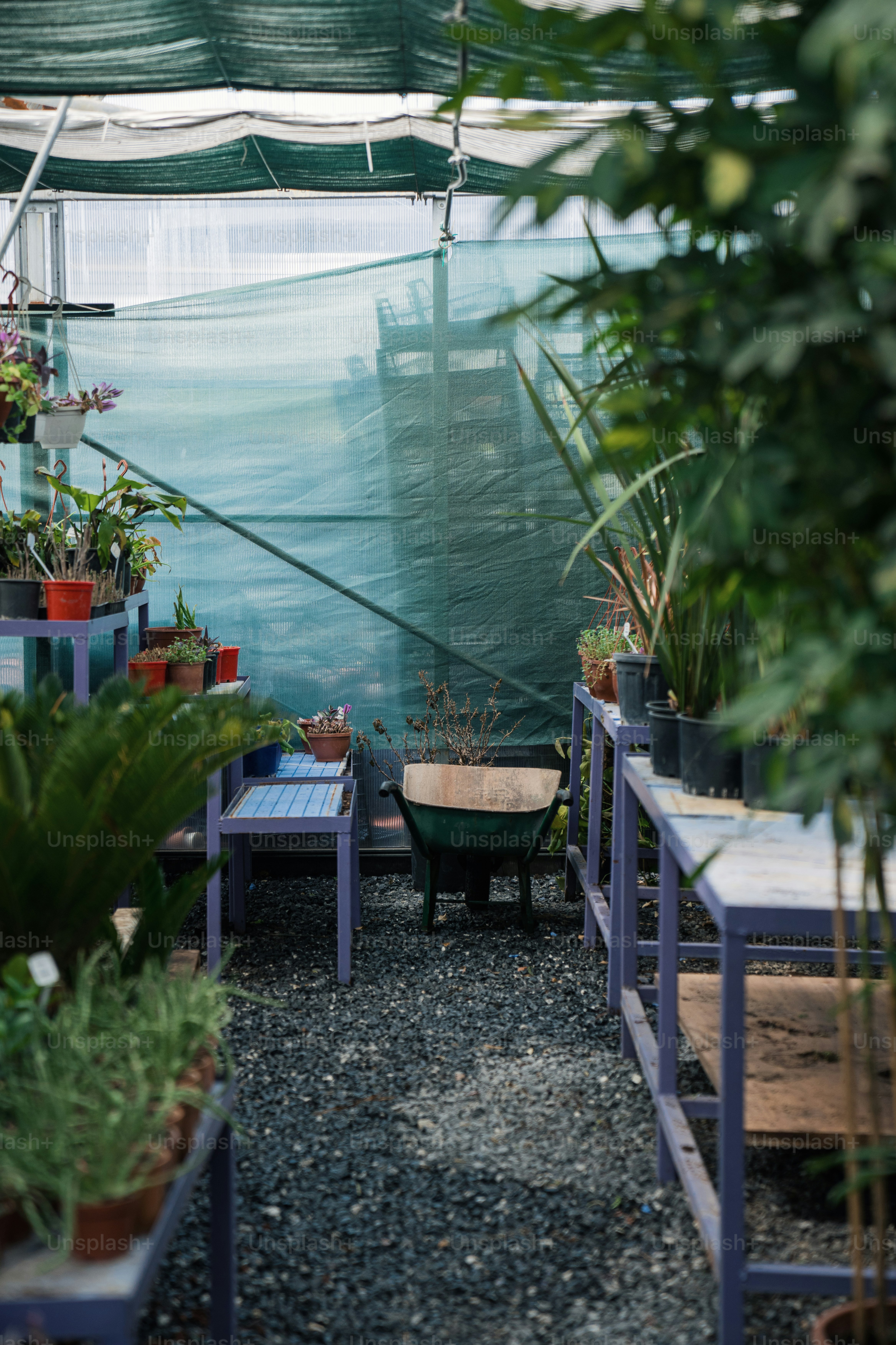 a room filled with lots of potted plants