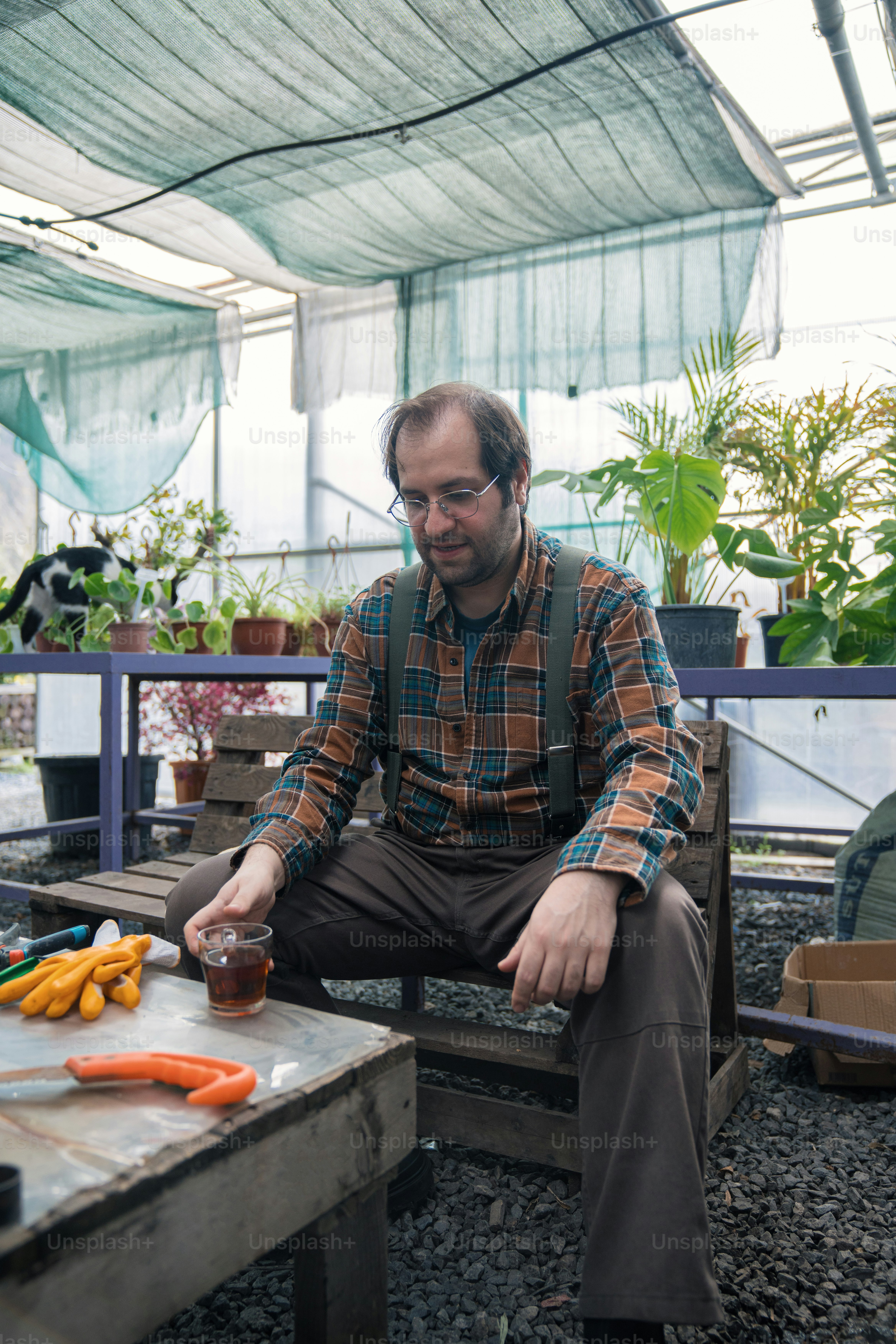 a man sitting on a bench in a greenhouse