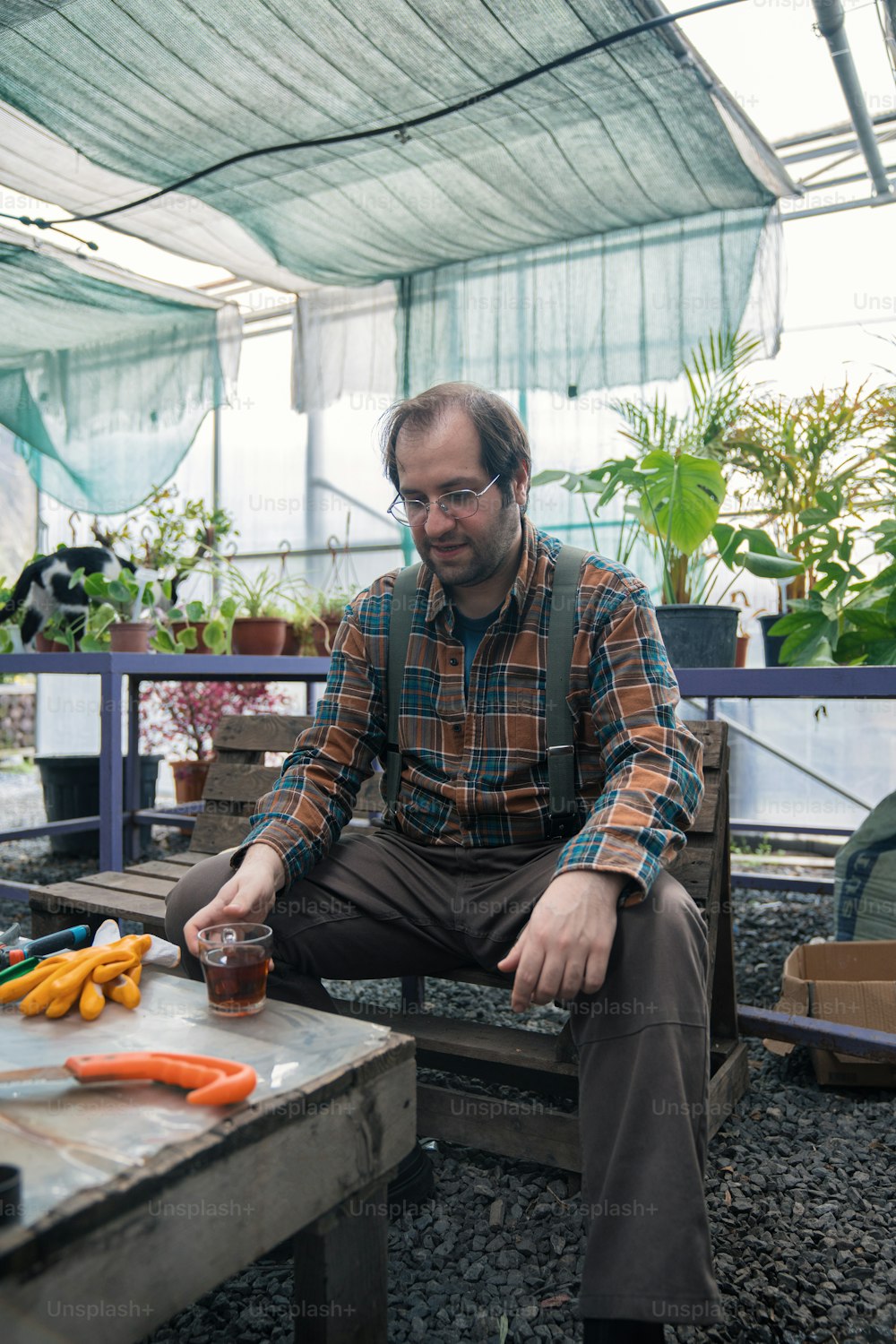 a man sitting on a bench in a greenhouse