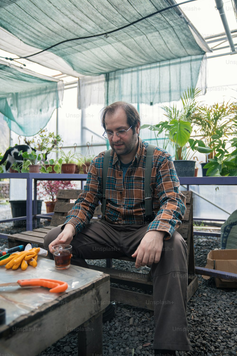a man sitting on a bench in a greenhouse