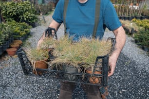 a man holding a basket full of plants