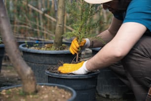 a man in a blue shirt and yellow gloves is trimming a small tree