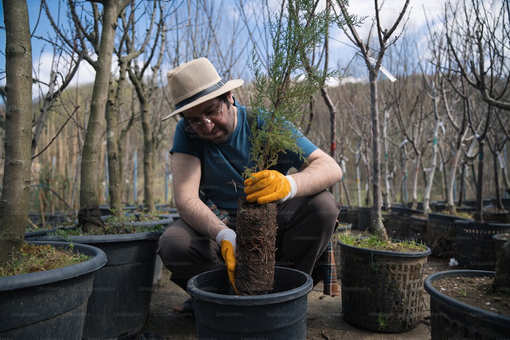 a man in a hat and gloves is planting a tree