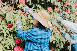 a woman in a straw hat picking flowers from a tree
