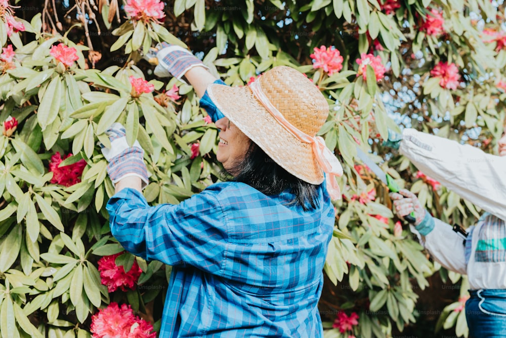 uma mulher em um chapéu de palha colhendo flores de uma árvore