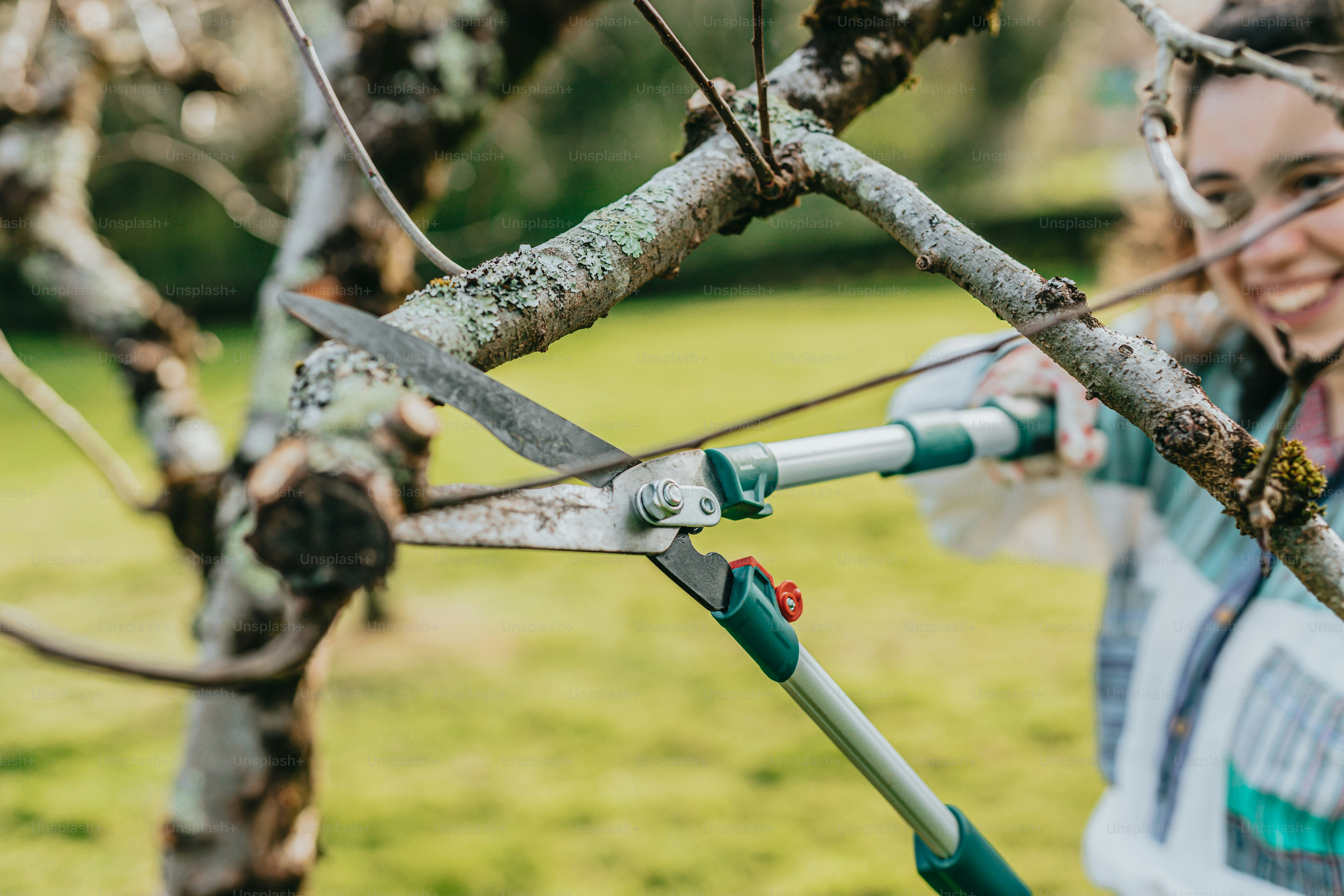 a woman holding a pair of scissors in a tree