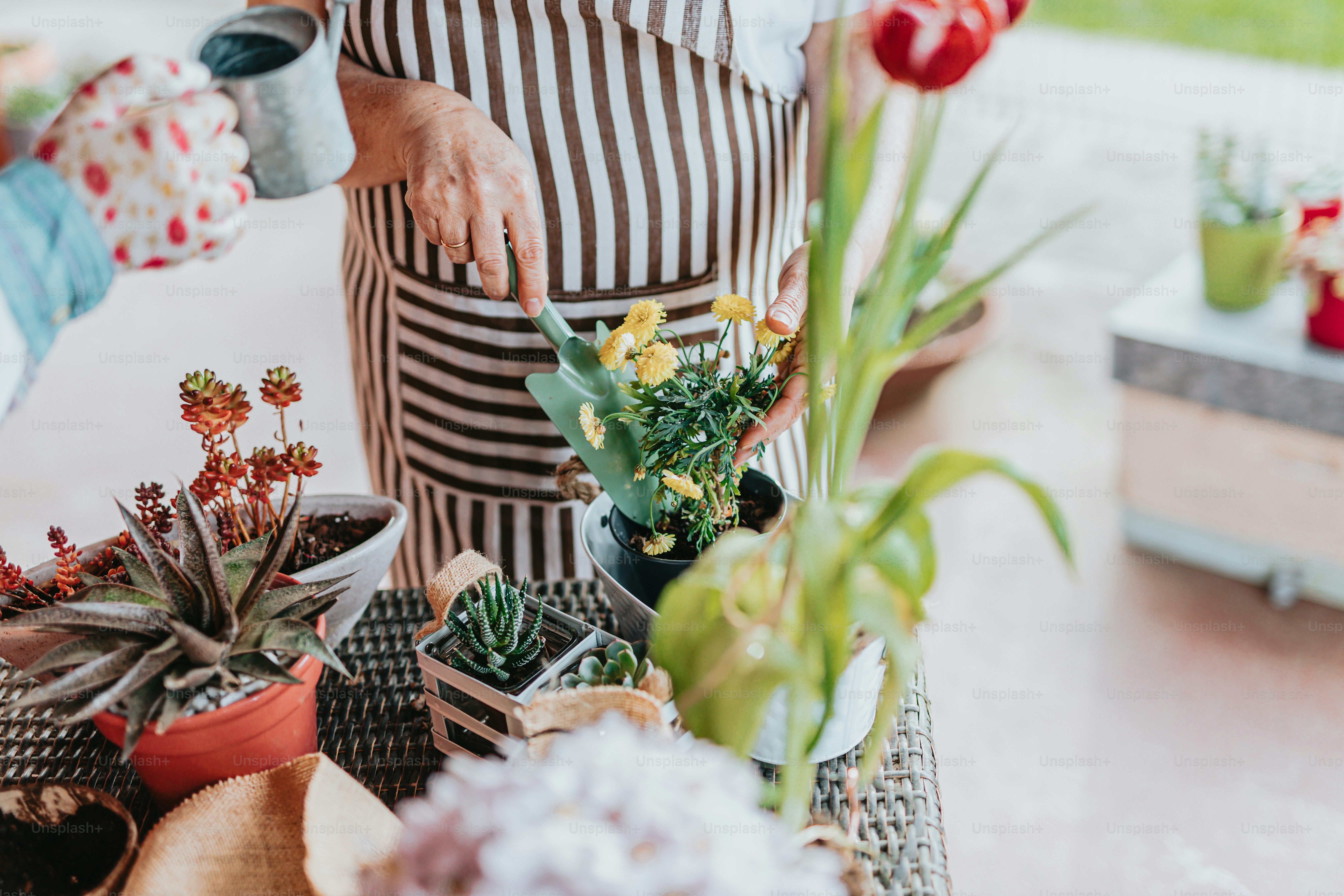 a person in an apron is arranging plants