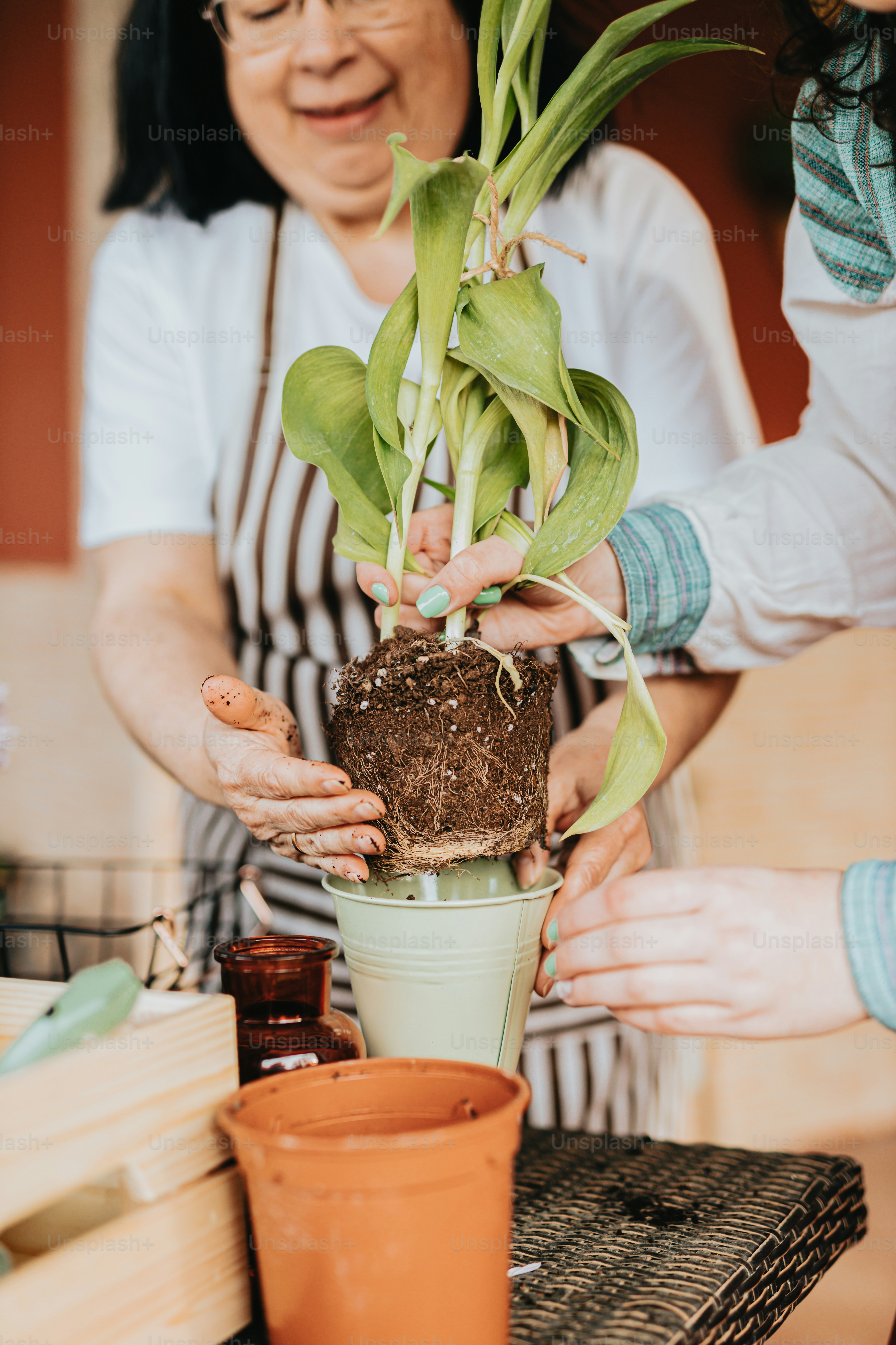 a woman holding a potted plant in her hands