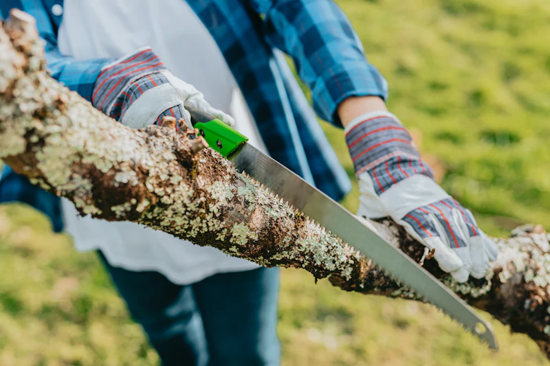 Tree trimming contracts for their Longmont rental portfolio