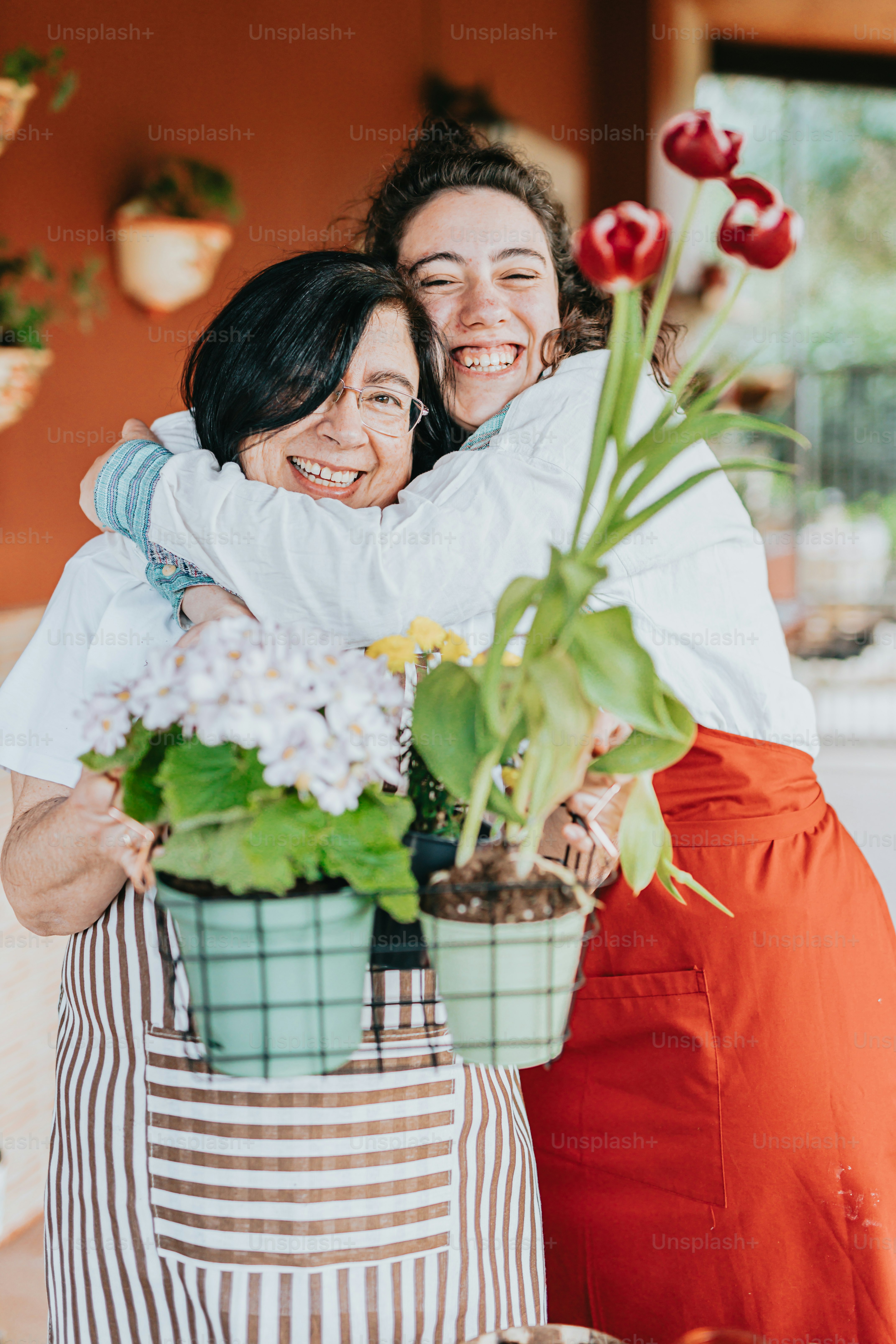 Zwei Frauen, die sich vor einer Topfpflanze umarmen