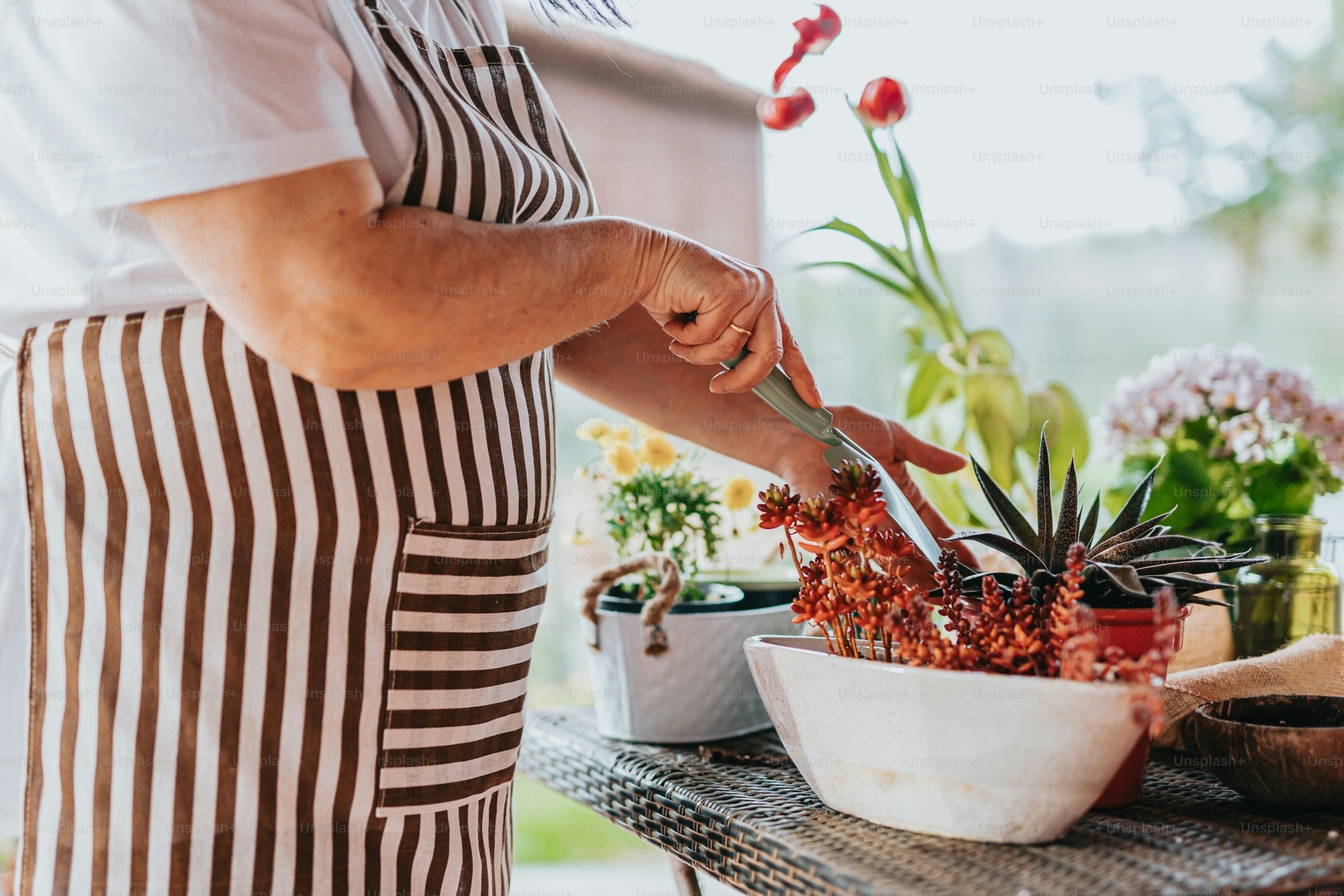 a person in an apron cutting up a plant