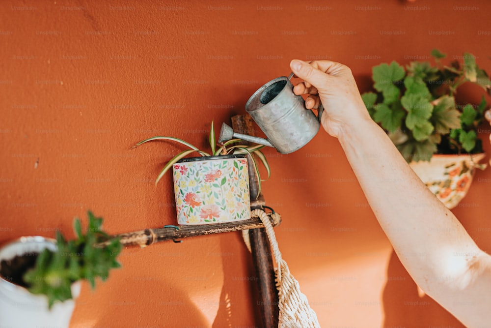 a person holding a watering can on a wall