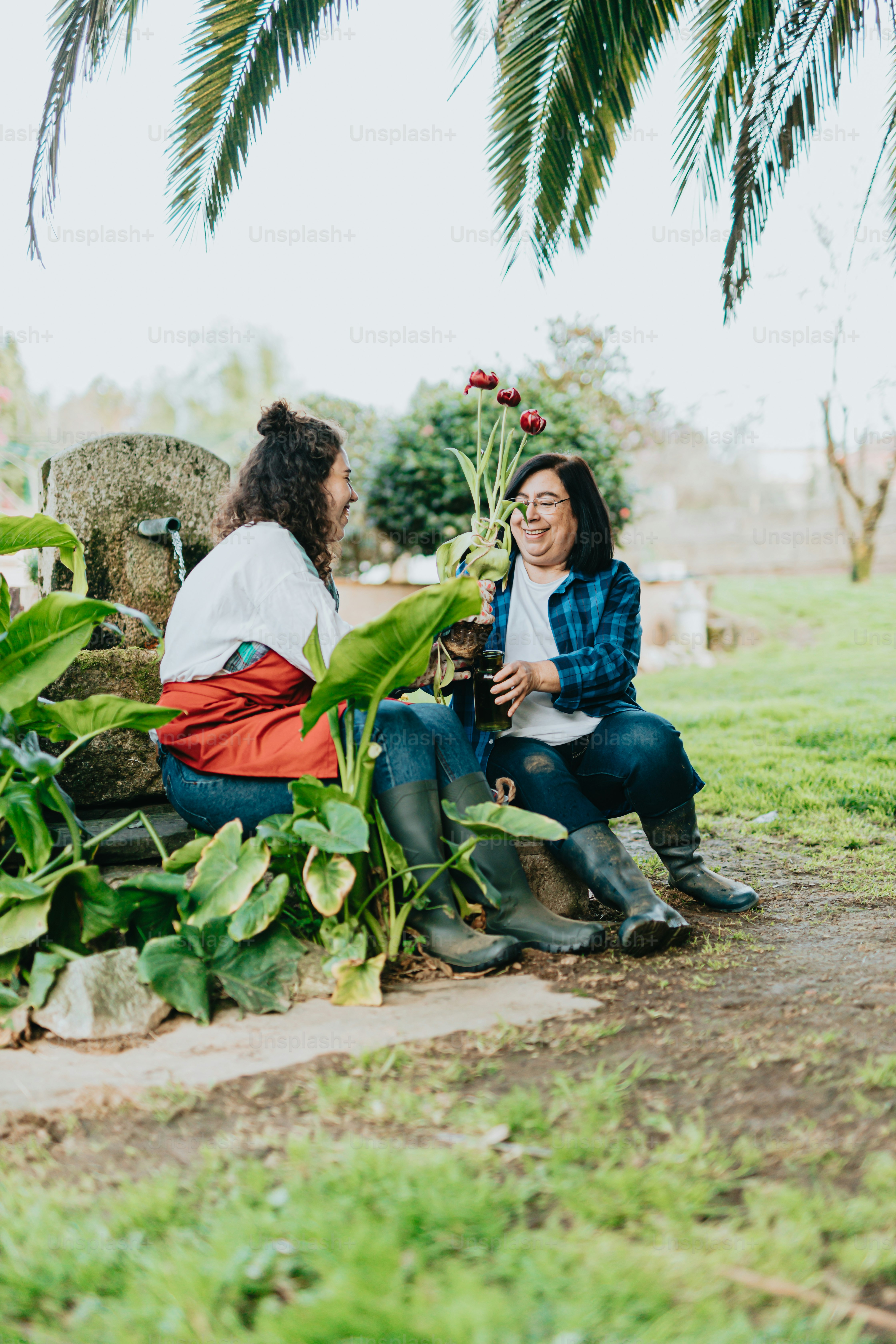 um casal de mulheres sentadas em cima de um campo verde exuberante