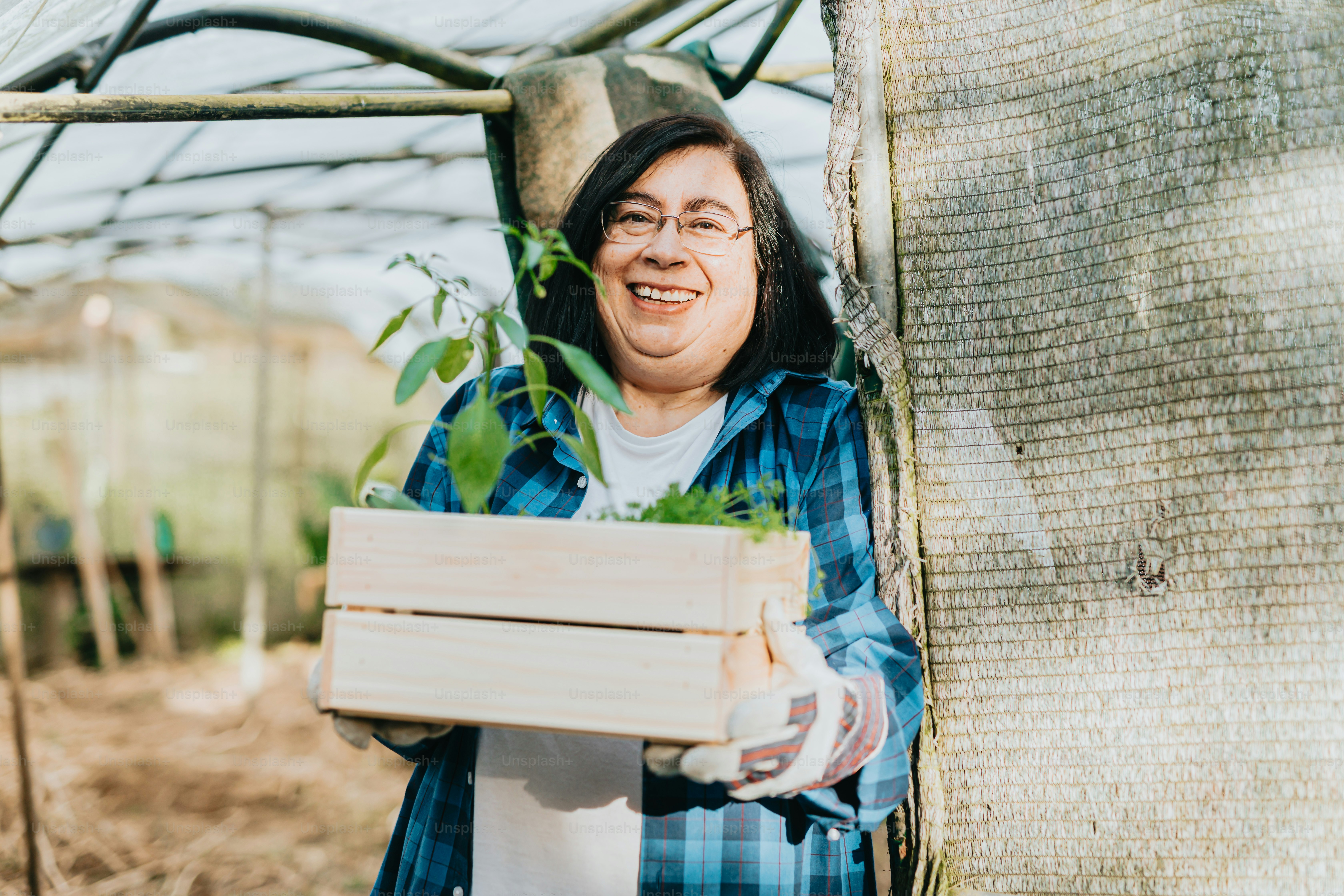 uma mulher que segura uma caixa de plantas em uma estufa