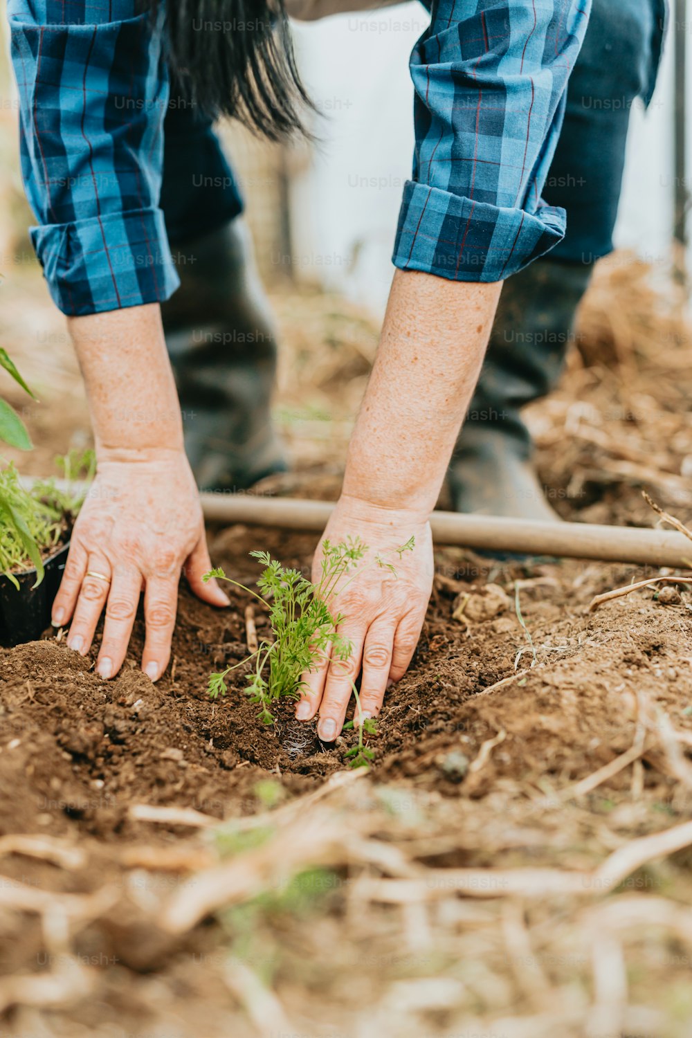 a person is digging in the dirt with their hands