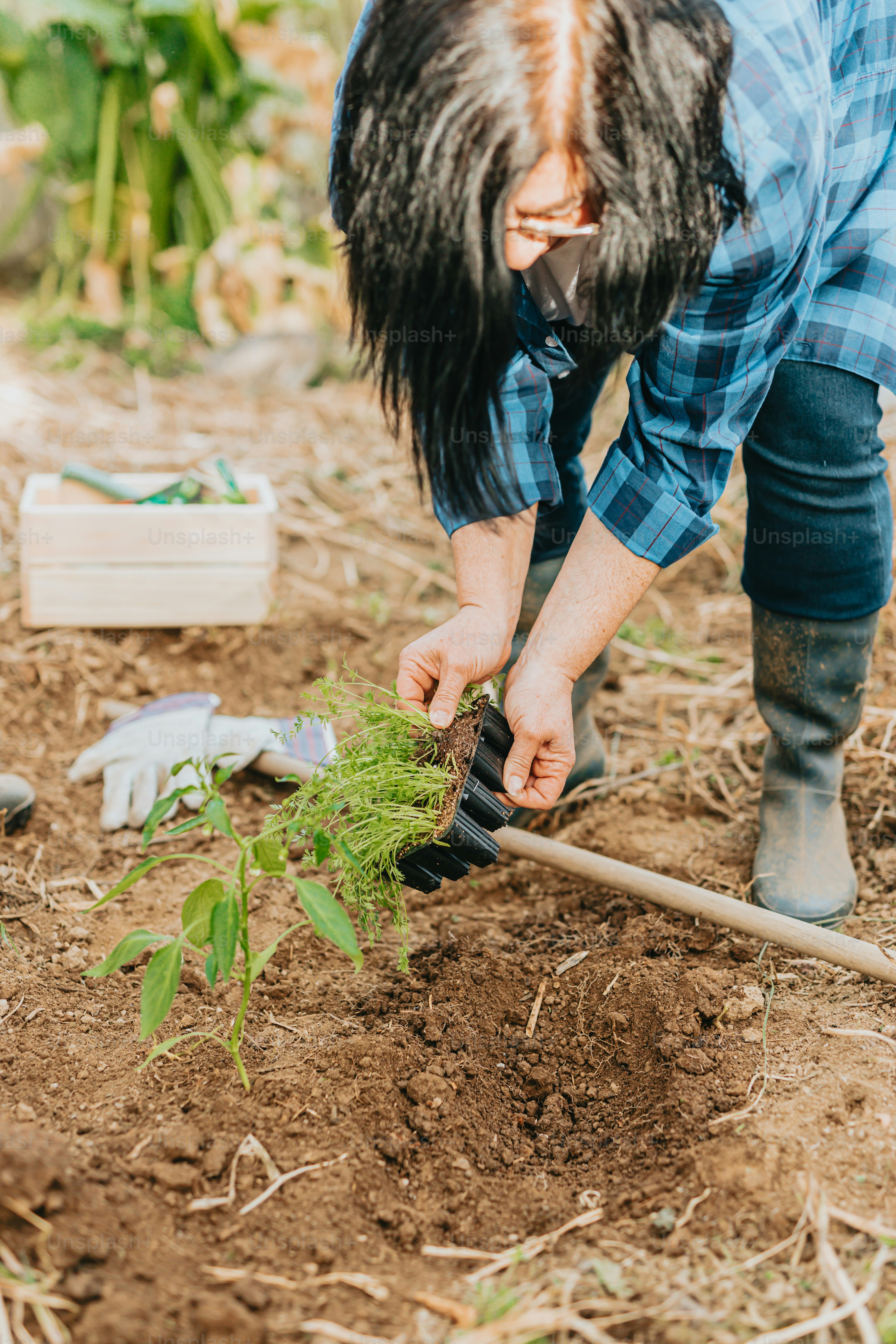A person is digging in the dirt with a shovel photo – Woman Image on ...