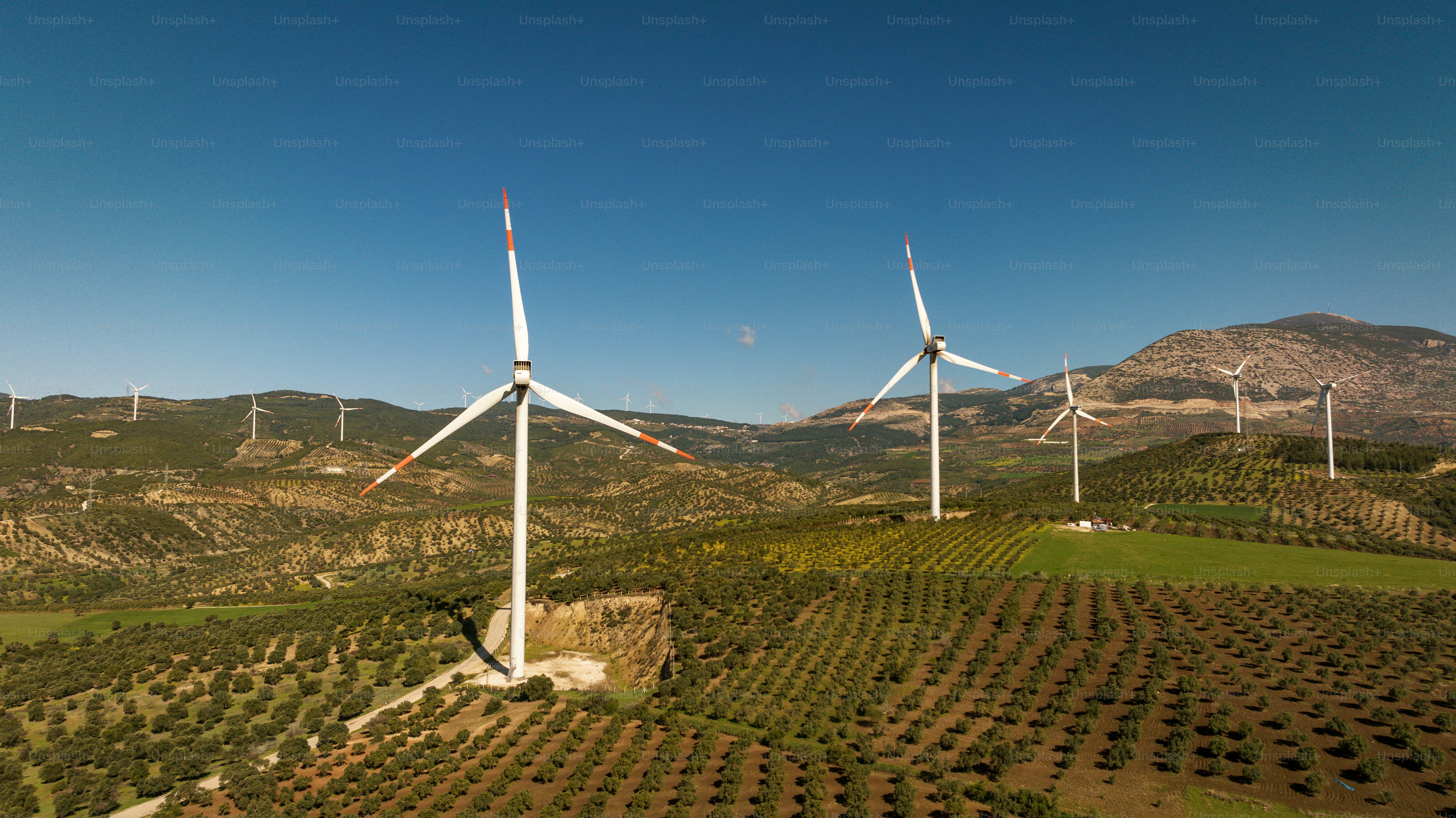 Un grupo de molinos de viento en un campo con montañas al fondo