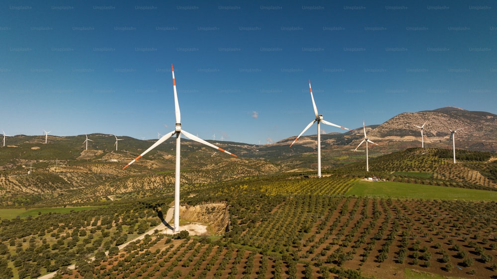 um grupo de moinhos de vento em um campo com montanhas ao fundo