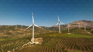 Un grupo de molinos de viento en un campo con montañas al fondo