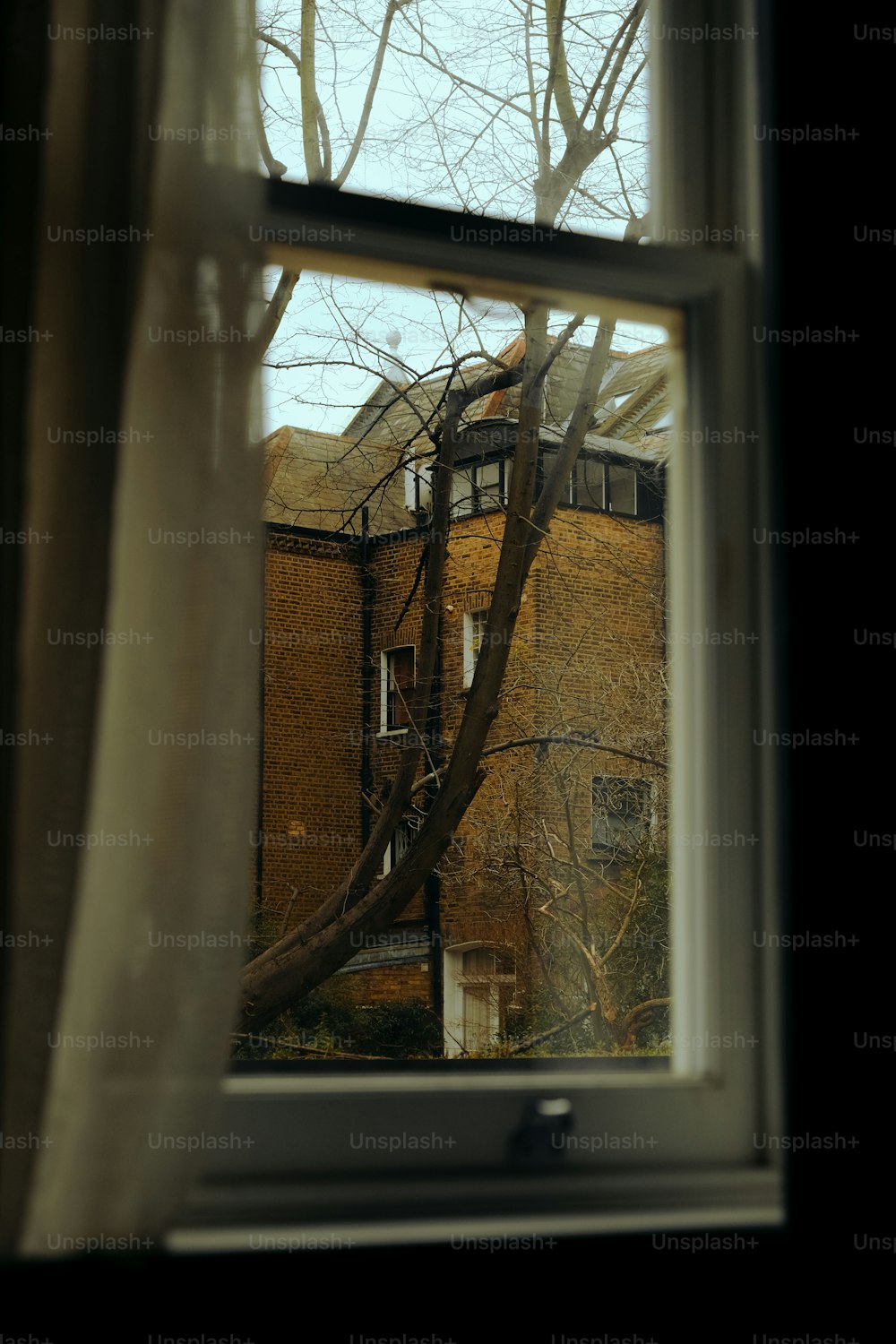ein Fenster mit einem Baum daneben