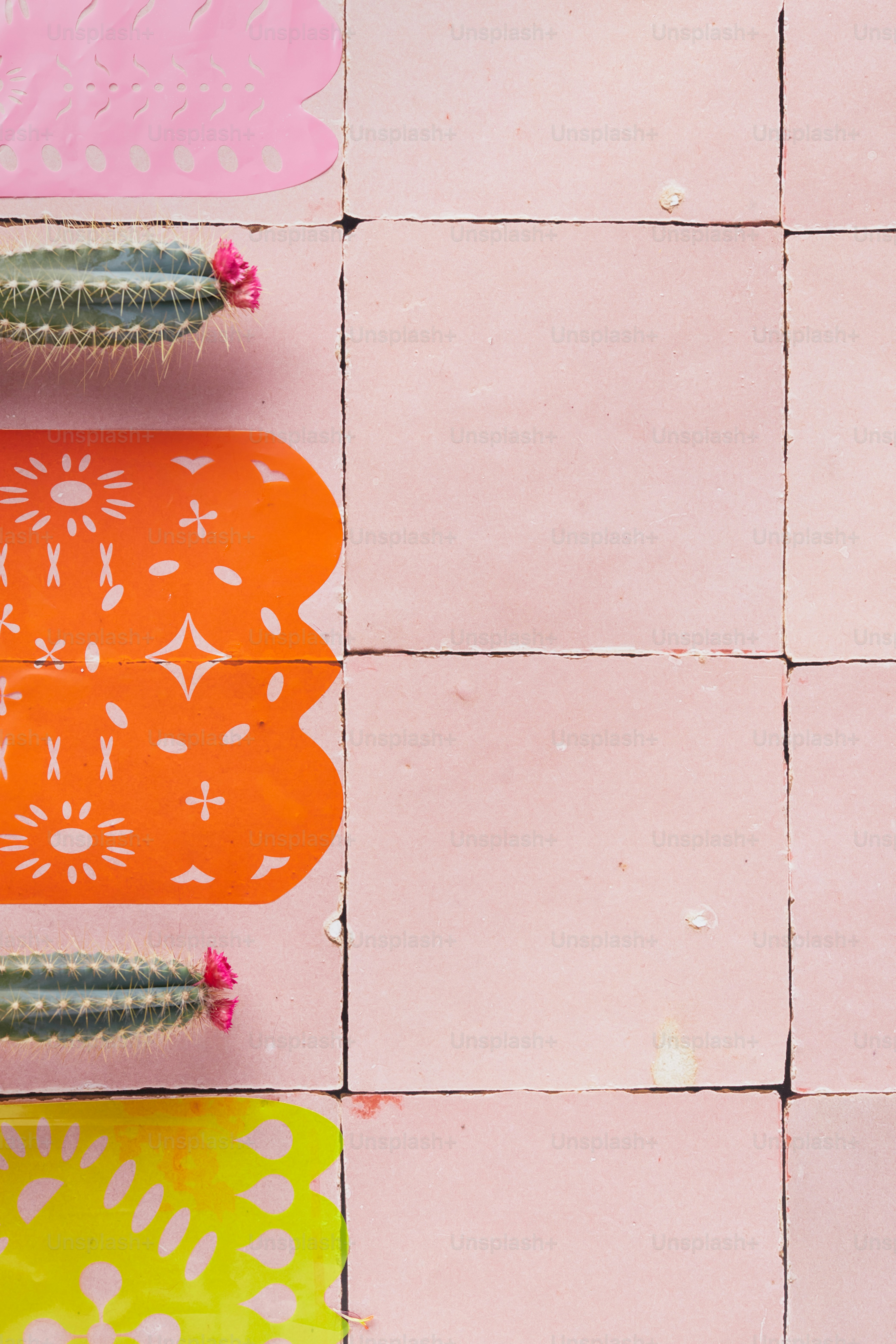 a close up of a street sign with a cactus on it
