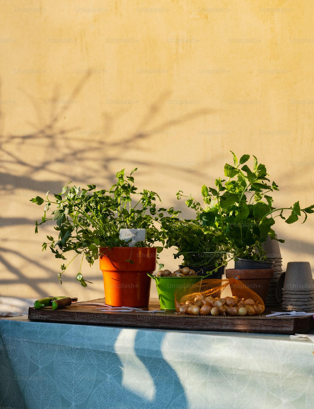 a table topped with potted plants next to a wall